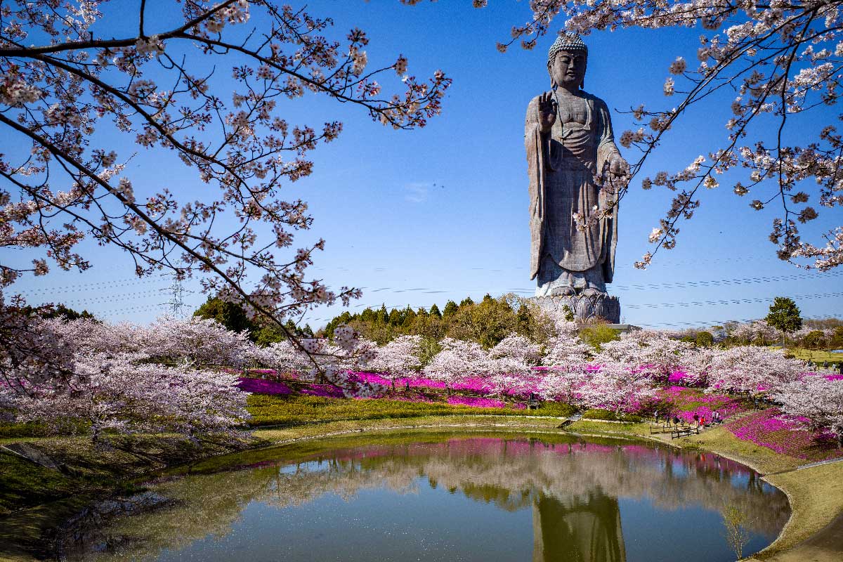 ブロンズ製大仏として世界一の高さの「牛久大仏」の見どころを紹介